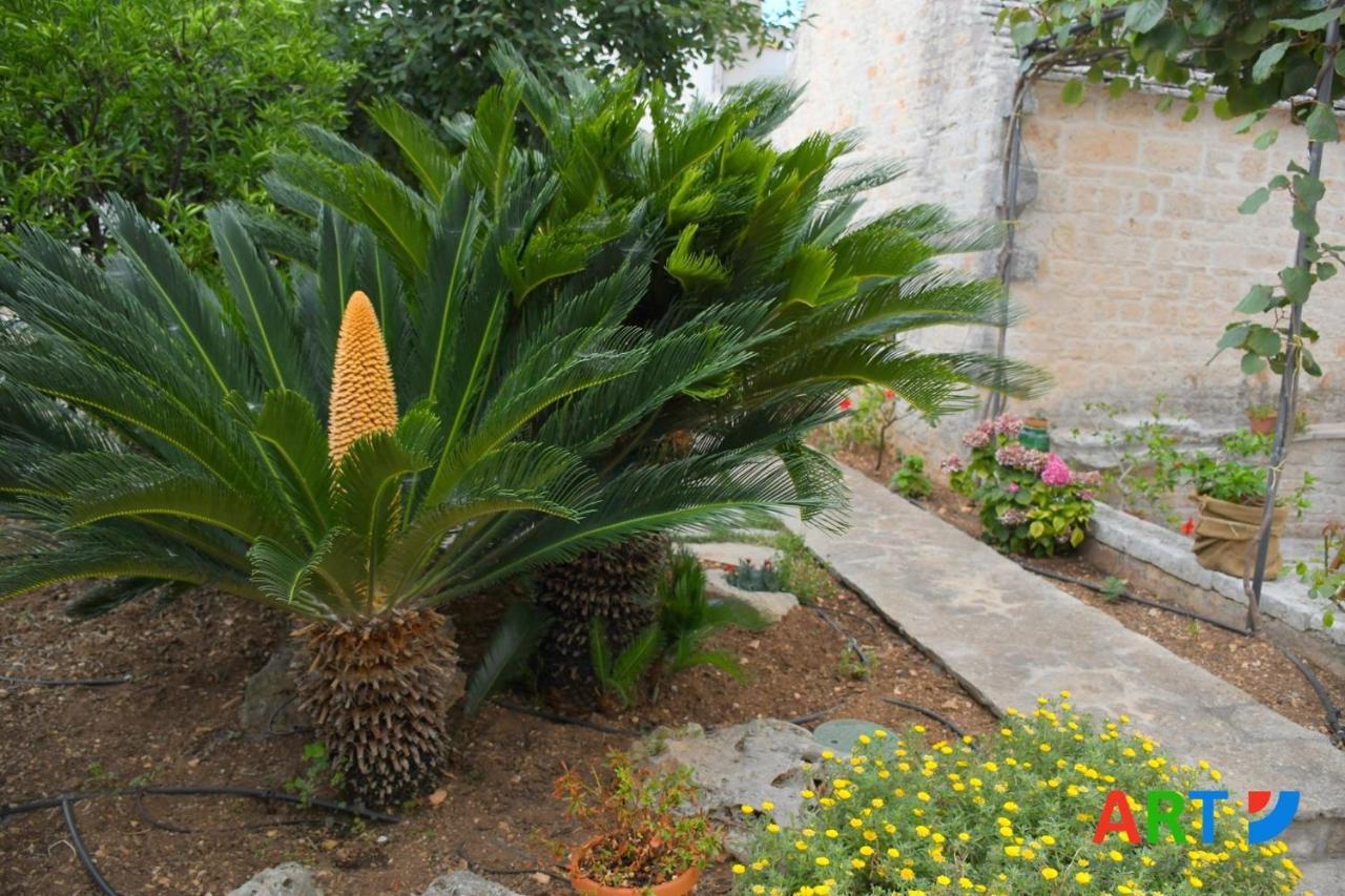 Вілла Trullo Al Vicoletto Al Civico 10, Civico 8, Civico 7 Альберобелло Екстер'єр фото