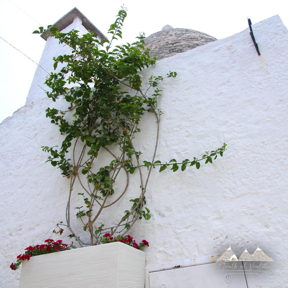 Вілла Trullo Al Vicoletto Al Civico 10, Civico 8, Civico 7 Альберобелло Екстер'єр фото
