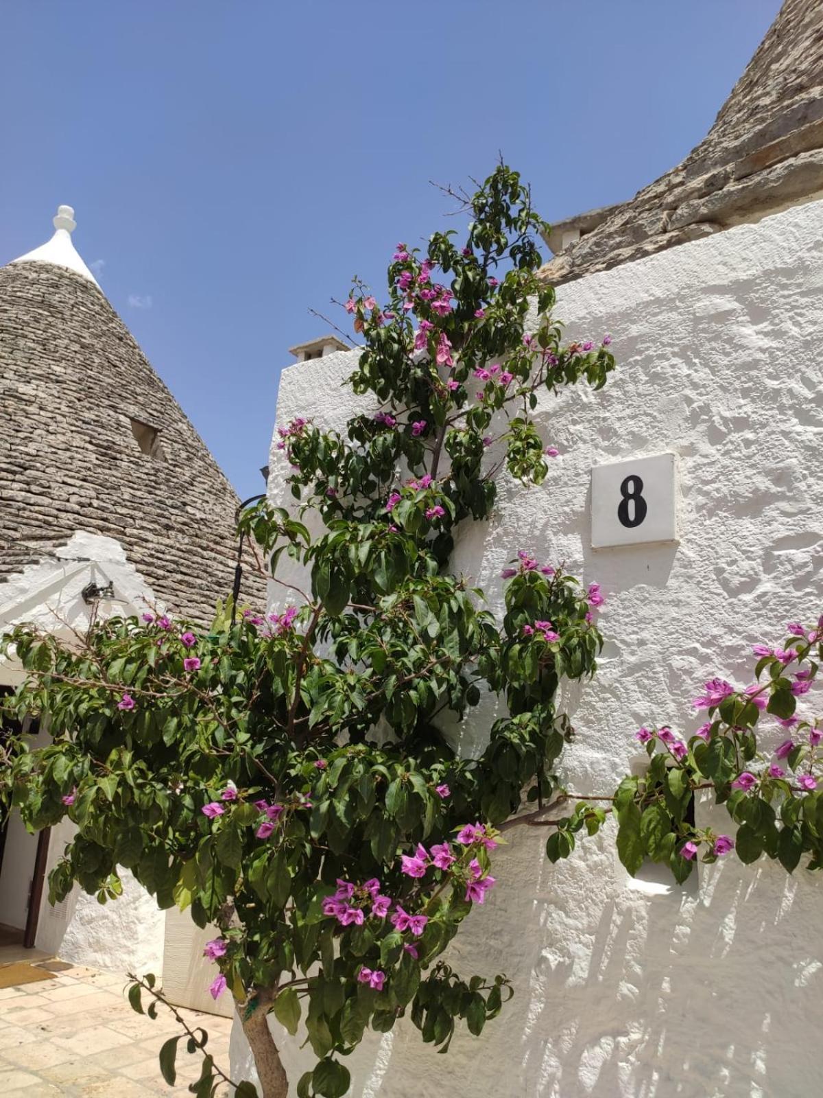 Вілла Trullo Al Vicoletto Al Civico 10, Civico 8, Civico 7 Альберобелло Екстер'єр фото